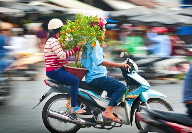 Dự thi ảnh: Chùm ảnh mùa xuân - ảnh 5